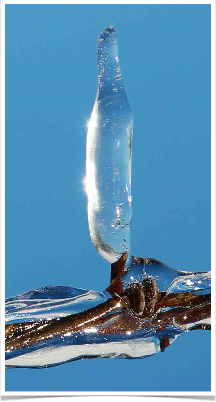 Ice Photography